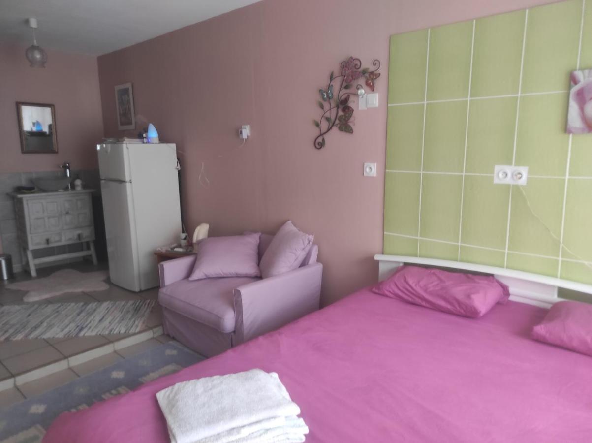 Chambre Spatieuse Avec Grand Lit. アスペ エクステリア 写真